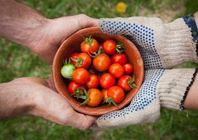 N°9. R.E.E.P : Réseau d&rsquo;échanges entre produceurs