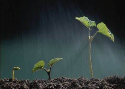 N°6. E-FUZER : Incubateur d&rsquo;activités sur 7 domaines de l&rsquo;Avoir essentiel